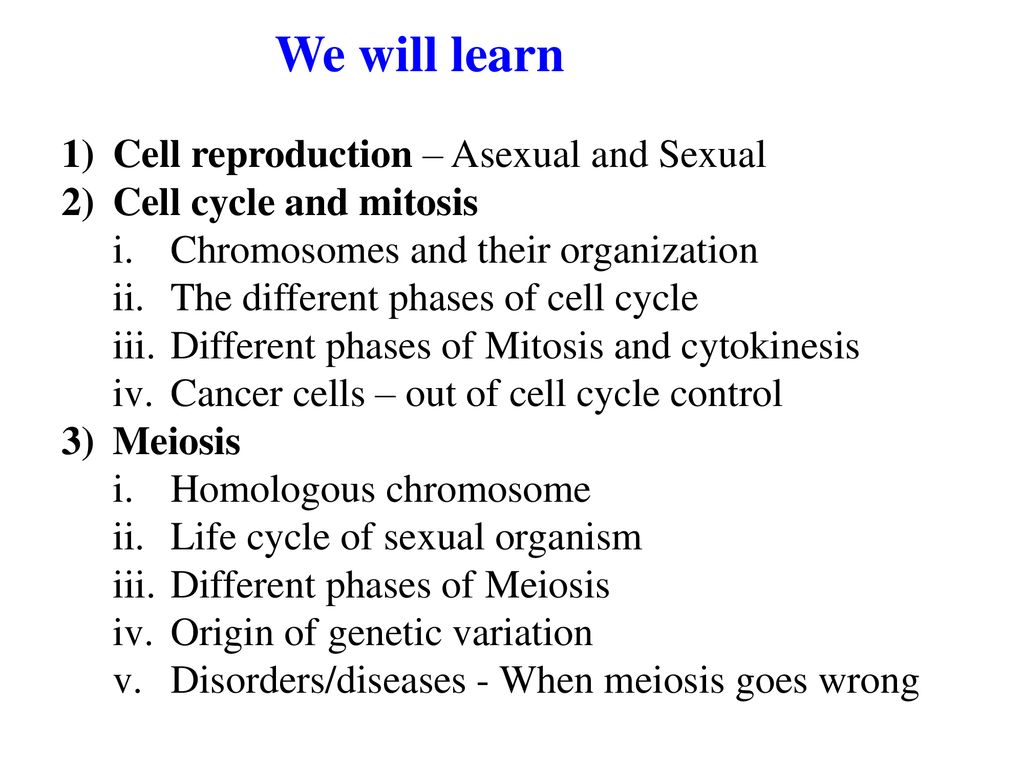 Cellular Reproduction: Cells from Cells - ppt download